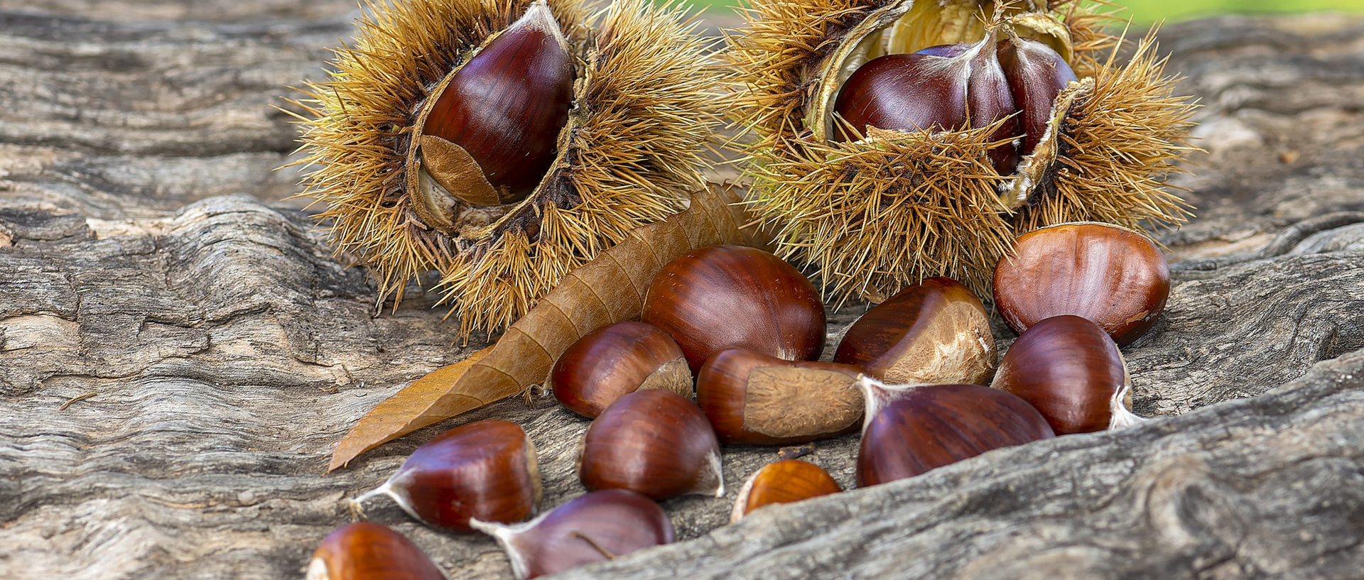 Castagne al naturale